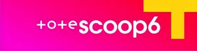 The Tote Scoop 6 logo